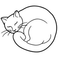 a black and white drawing of a cat curled up vector