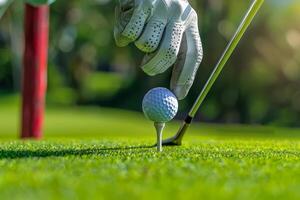 Golfer prepares to swing as they place the ball on the tee in sunny weather photo