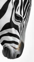 This artwork features a zebra's face, highlighting its unique black and white stripes against a neutral background, showcasing its elegance photo