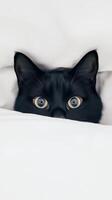 A curious black cat with striking eyes cautiously peeks out from beneath fluffy white blankets, showcasing its playful personality and intrigue photo