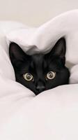 A curious black cat with striking eyes emerges from the folds of a soft blanket, creating a heartwarming moment of tranquility and charm at home photo