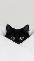 A playful black cat with big eyes is peeking out from beneath soft white sheets, displaying an adorable expression of curiosity and friendliness photo