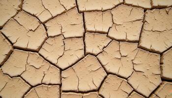 The texture of cracked earth, parched and dry, with deep fissures and fine dust. photo