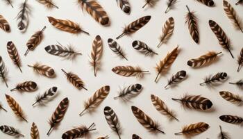 A scattering of feathers, each with unique colors, patterns, and textures, carried by the wind. photo
