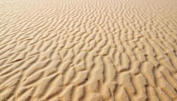 The surface of rippled sand, sculpted by the wind and tide, creating intricate patterns. photo