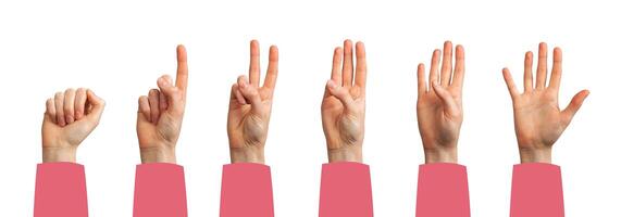 Hand showing counting gesture. Female palm and fingers displaying one, two, three, four, five photo