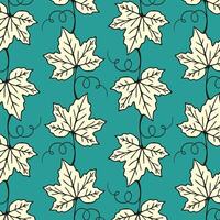 Bright pattern with grapevine, contour drawing of grape vine, ornament. vector