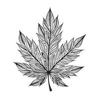 a black and white drawing of a leaf with a pattern vector