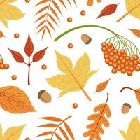 Autumn Leaves Seamless Pattern, Bright Fall Foliage, Design Element Can Be Used for Fabric, Wallpaper, Packaging, Web Page, Background Illustration vector