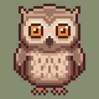 Pixel art owl illustration with a classic 8-bit aesthetic. Its vibrant orange eyes and detailed pixelated feathers bring a touch of retro vibes. vector