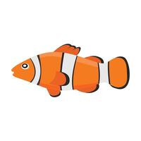 isolated nemo fish on a white background vector