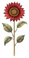 A red sunflower with leaves and a stem photo