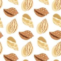 Patterns of seashells in various colors on a white background for decorative purposes vector