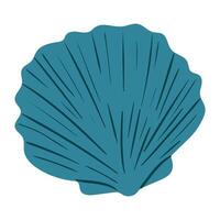 Seashell with detailed ridges displayed against a simple background vector