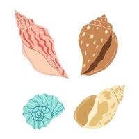 Vibrant seashells displayed on a light background, highlighting their unique shapes vector