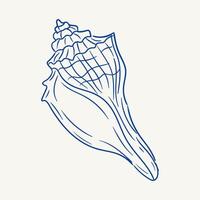 Detailed illustration of a seashell showcasing intricate patterns and shapes vector