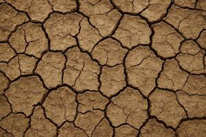 Cracked Dry Earth With Soil Texture Depicting Drought and Climate Change Concept in Natural Background photo