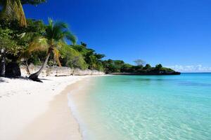 Tropical beach with palm trees and turquoise water inviting to relax photo