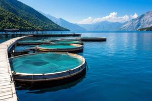 Fish farm in the bay of kotor showing aquaculture and fishing nets for seafood production photo