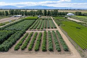 An aerial view of a farm with crops and mountains photo