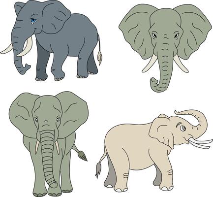 Cartoon Elephant Clipart Illustrations