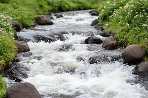 A stream of water flowing through a grassy field photo