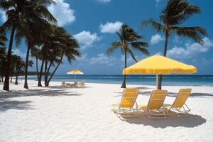 A beach with yellow umbrellas and chairs photo