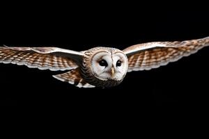 An owl flying in the dark with its eyes open photo