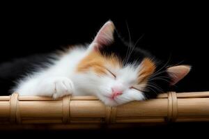 A calico kitten sleeping on a bamboo basket photo