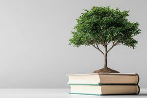 A tree growing out of a stack of books photo