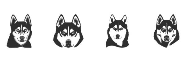 Husky Dog Face Silhouette Set. Siberian Husky Expressions And Features Isolated Illustration Collection vector