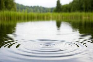A ripple in a lake with grass and trees photo