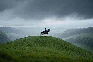 A person on a horse stands on a hill in the middle of a field photo
