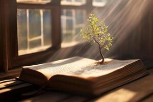 A tree sprouts from an open book photo