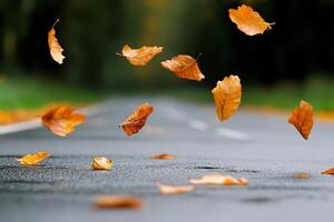 Autumn leaves falling from the sky on a road photo