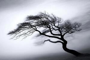 A black and white photo of a tree in the fog
