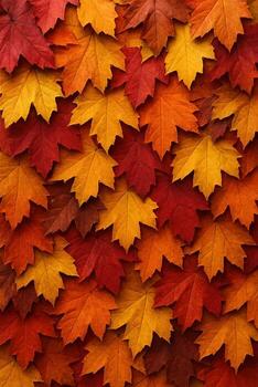 Vibrant Autumn Leaves in Various Colors Creating a Natural Vertical Background for Seasonal and Nature Concepts photo
