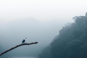 A bird is perched on a branch in the foggy forest photo