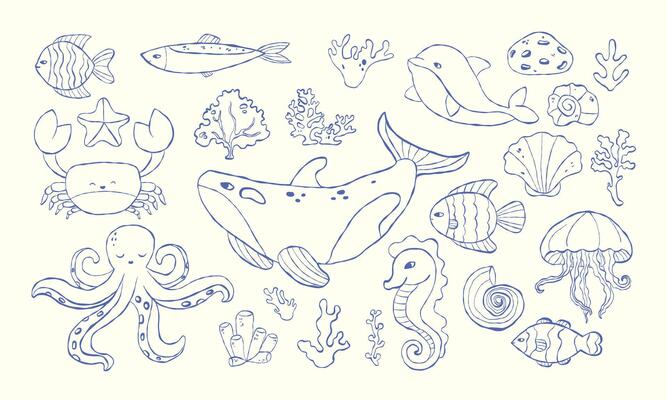 Set of hand-drawn doodles of marine animals and plants