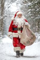 Santa Claus strolls through a winter wonderland, draped in a red suit, carrying a large sack filled with gifts as snowflakes gently fall around him photo