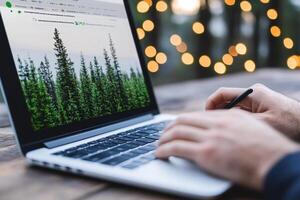 How to make your website more search engine friendly photo