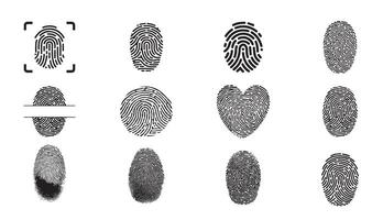 Fingerprint Icons Set. Biometric ID, Authentication, Scan, and Security Symbols vector