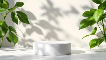 Minimalist Product Display with Greenery photo