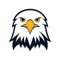 Front facing stare eagle bird head with white background vector