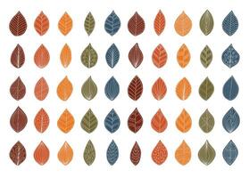 Leaf with Ornament Pattern vector
