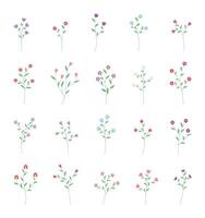 Fresh Blooming Colorful Flower with Leaves vector