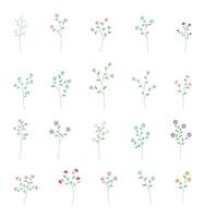Blooming Colorful Flower with Leaves vector