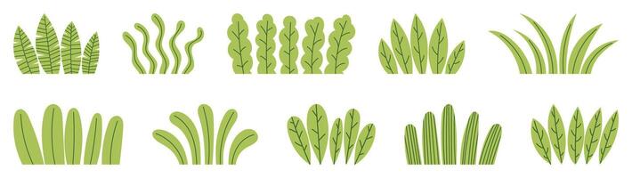 Close Up of Leafy Green Bush vector