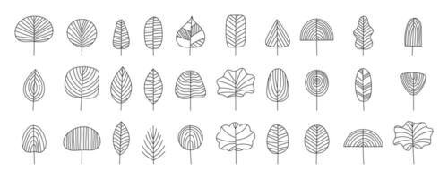 Abstract Tree Doodle Outline vector