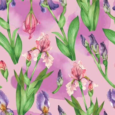 Seamless watercolor pattern with iris flowers on a pink background. Irises, leaves, buds, all objects are hand-drawn with watercolor. Suitable for printing on postcards, invitations, home textiles